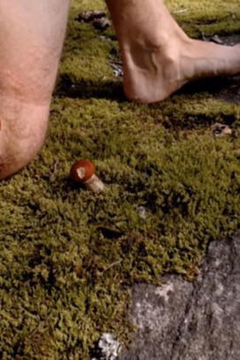 Primal Forest Cunt Pees While Birthing Mushrooms - Screenshot 1 of 4 - Golden Shower