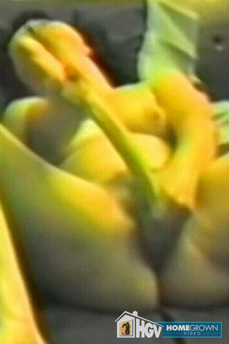 A Horny Brunette Jerking Off with Two Dildos - Screenshot 1 of 4 - Brown Hair