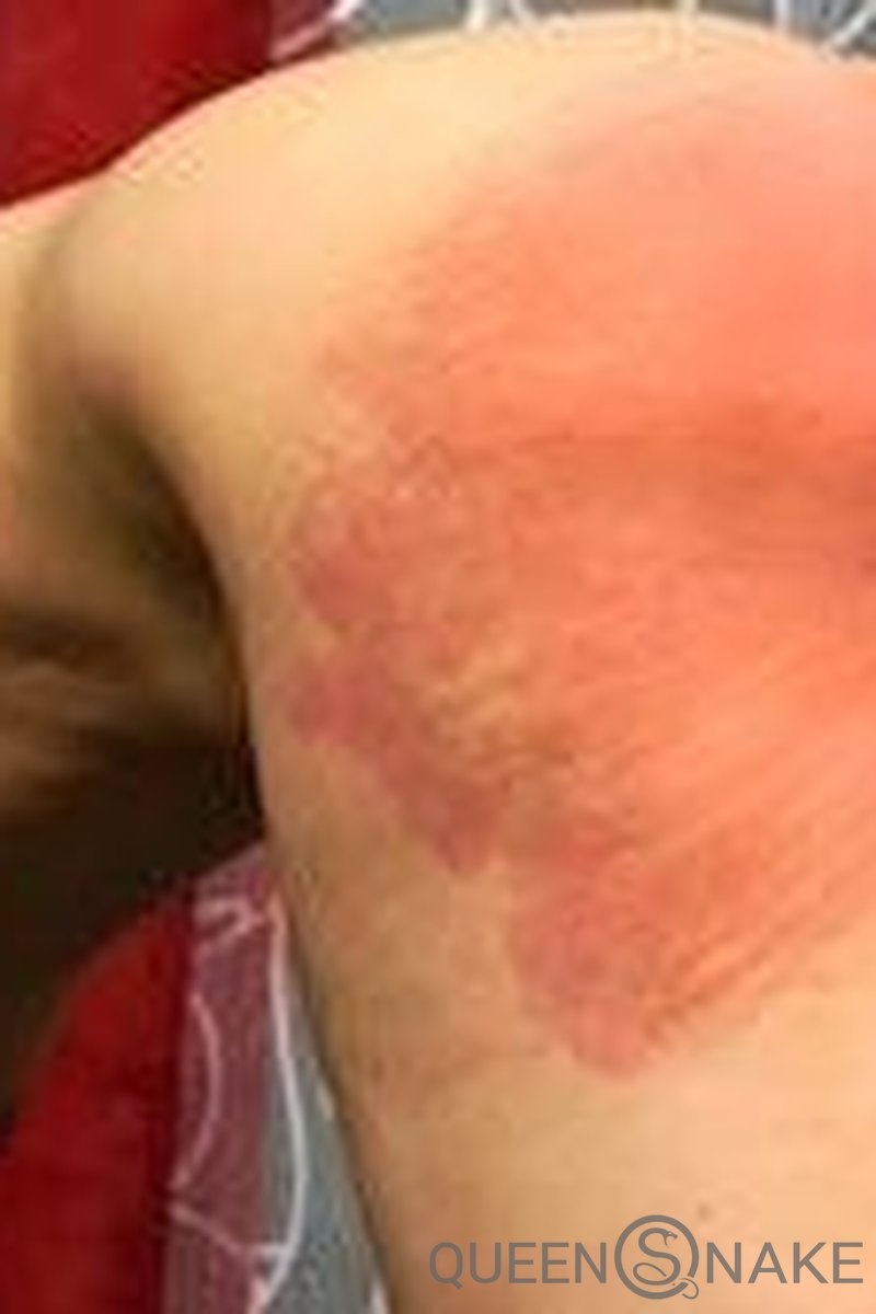 Tarantula - Screenshot 1 of 4 - BDSM