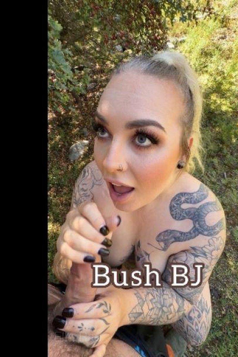 Bush BJ - Screenshot 1 of 4 - B Js