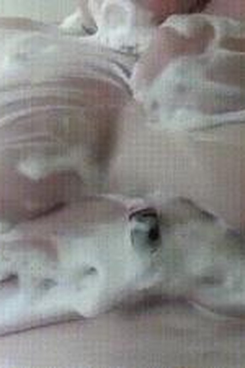 Soapy Big Boobs - Screenshot 1 of 4 - Big Tits