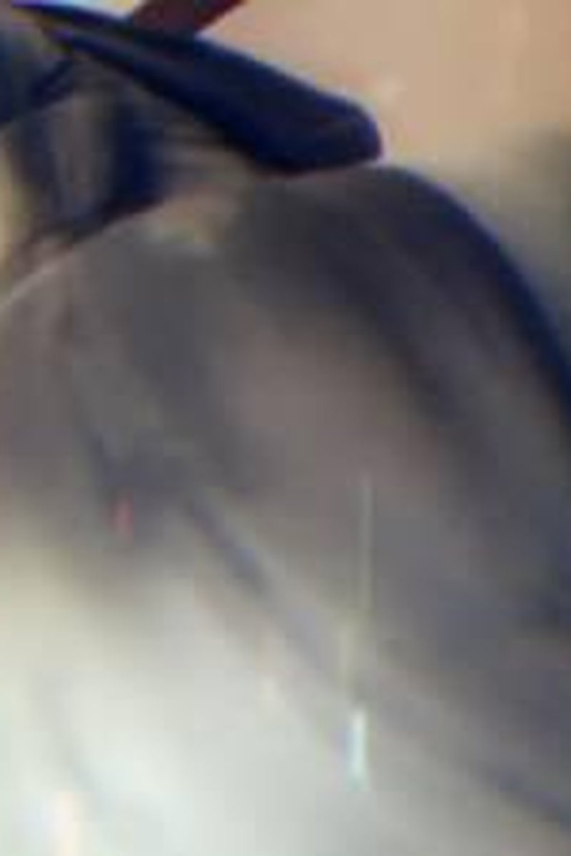 Ass For Days - Screenshot 1 of 4 - Ass Fetish