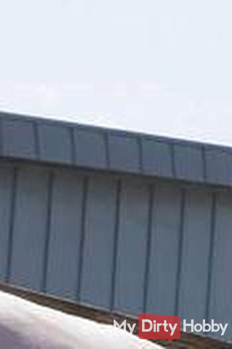 Silent Observer - Screenshot 1 of 4 - Lady Kira