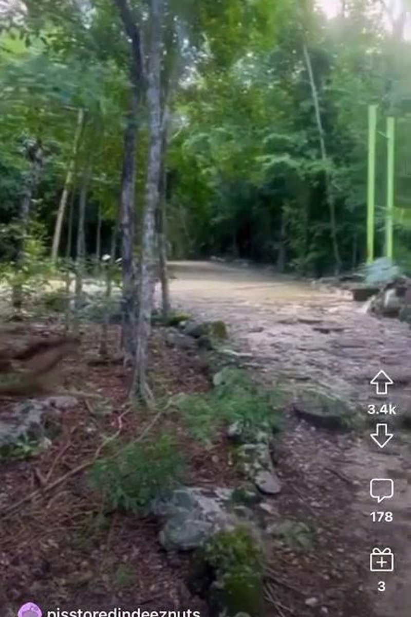 Dinosaurs! - Screenshot 1 of 4 - Savannah Rose