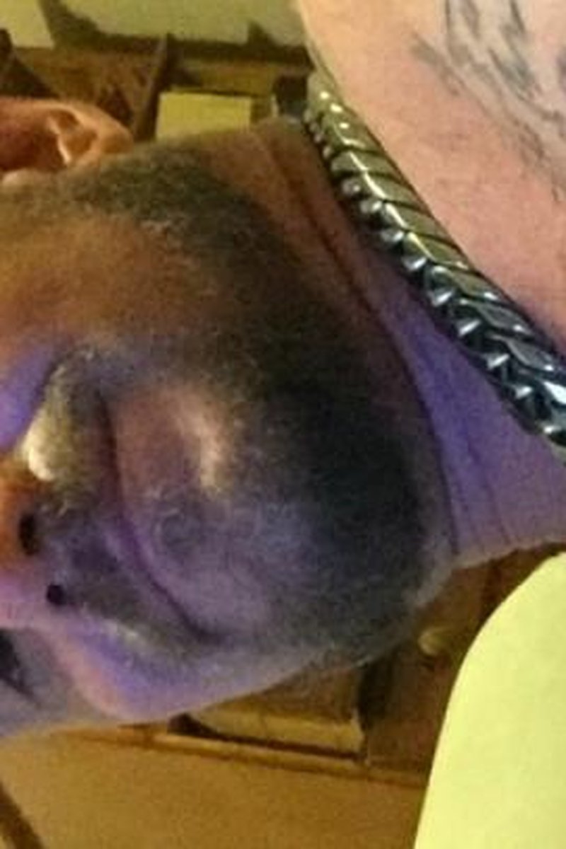 Ass Flash - Screenshot 1 of 4 - Anal