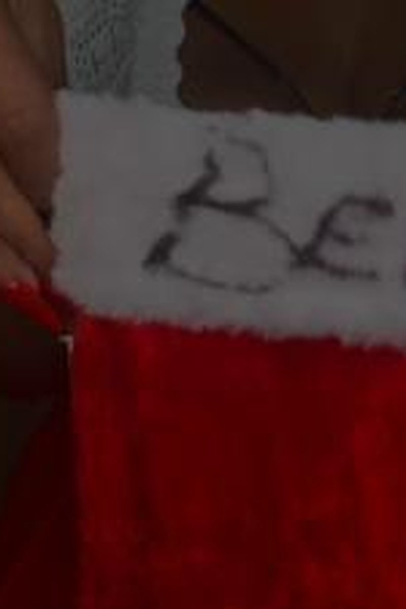 BBC In Your Stocking! - Screenshot 1 of 4 - Adopt A Bill