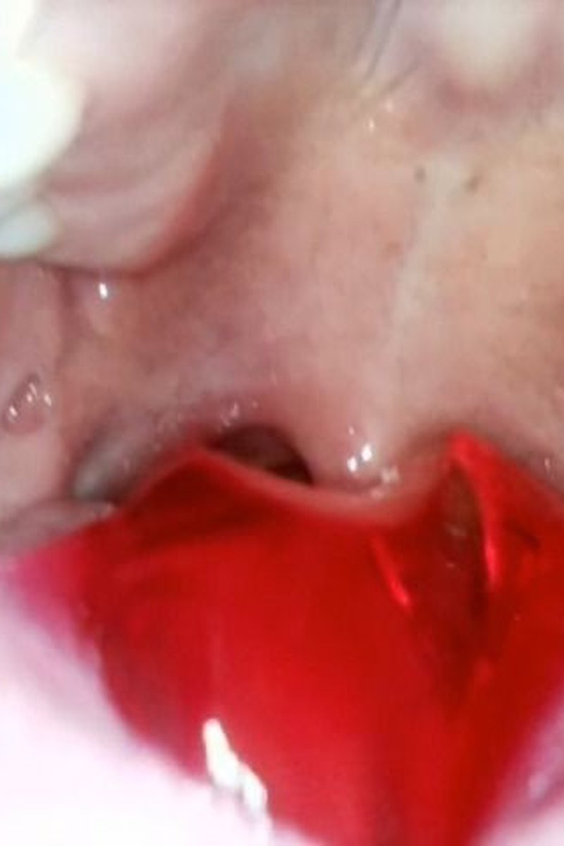 Jelly Swallow - Screenshot 1 of 4 - Food