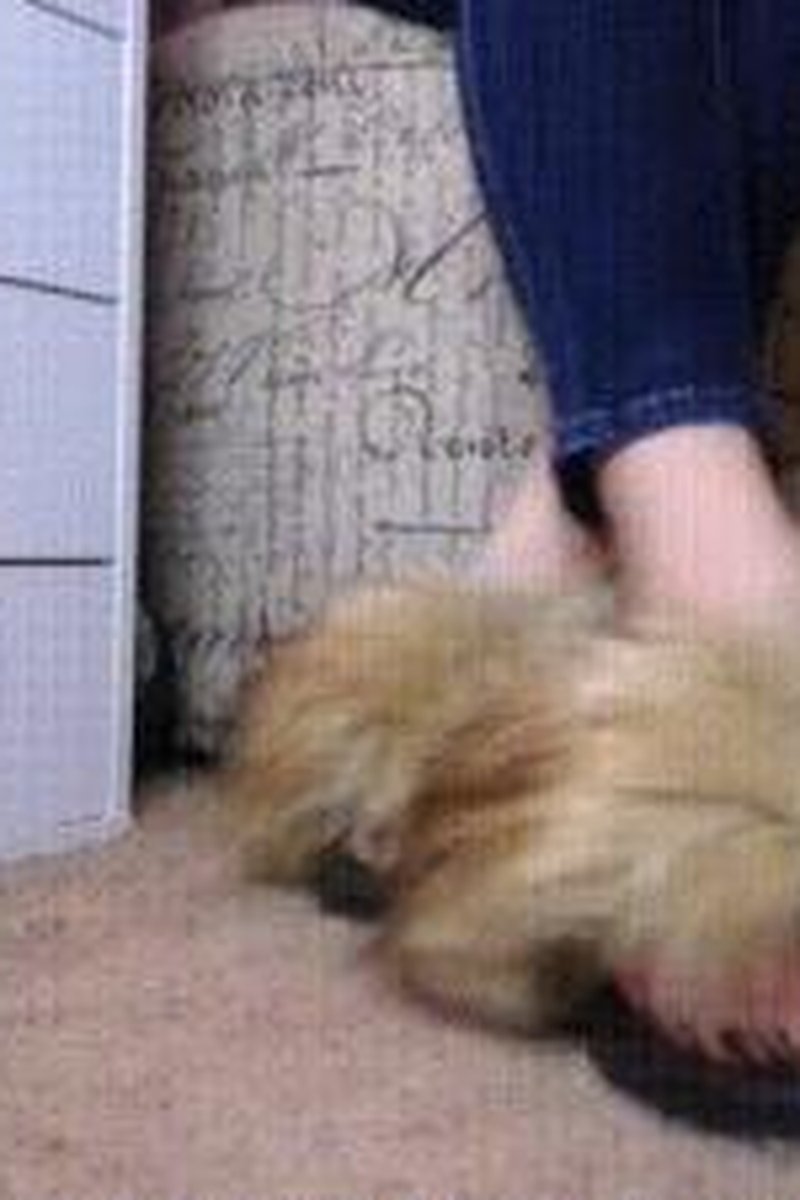 Furry Slipper - Screenshot 1 of 4 - Foot Fetish