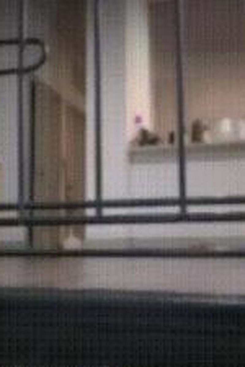 Shrinknosis Pt2 - Screenshot 1 of 4 - Black