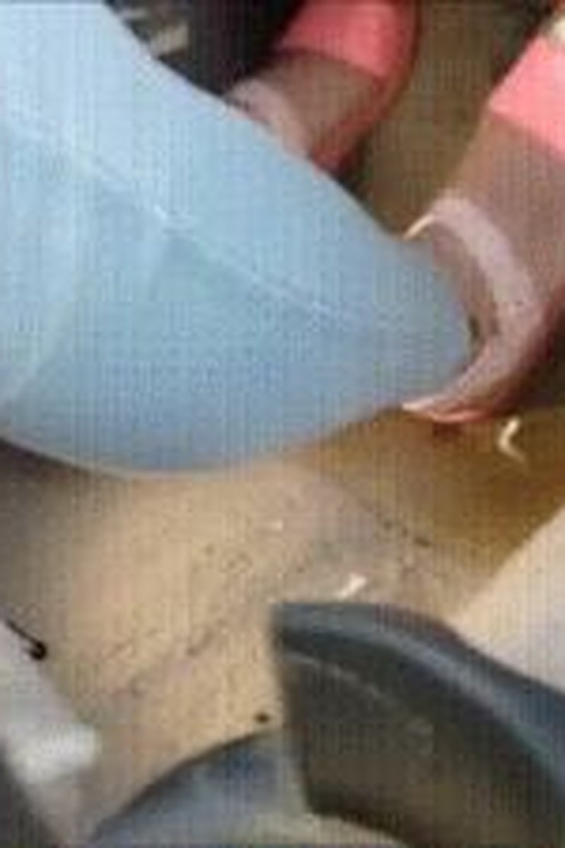 Driving Flat Sandals - Screenshot 1 of 4 - Car
