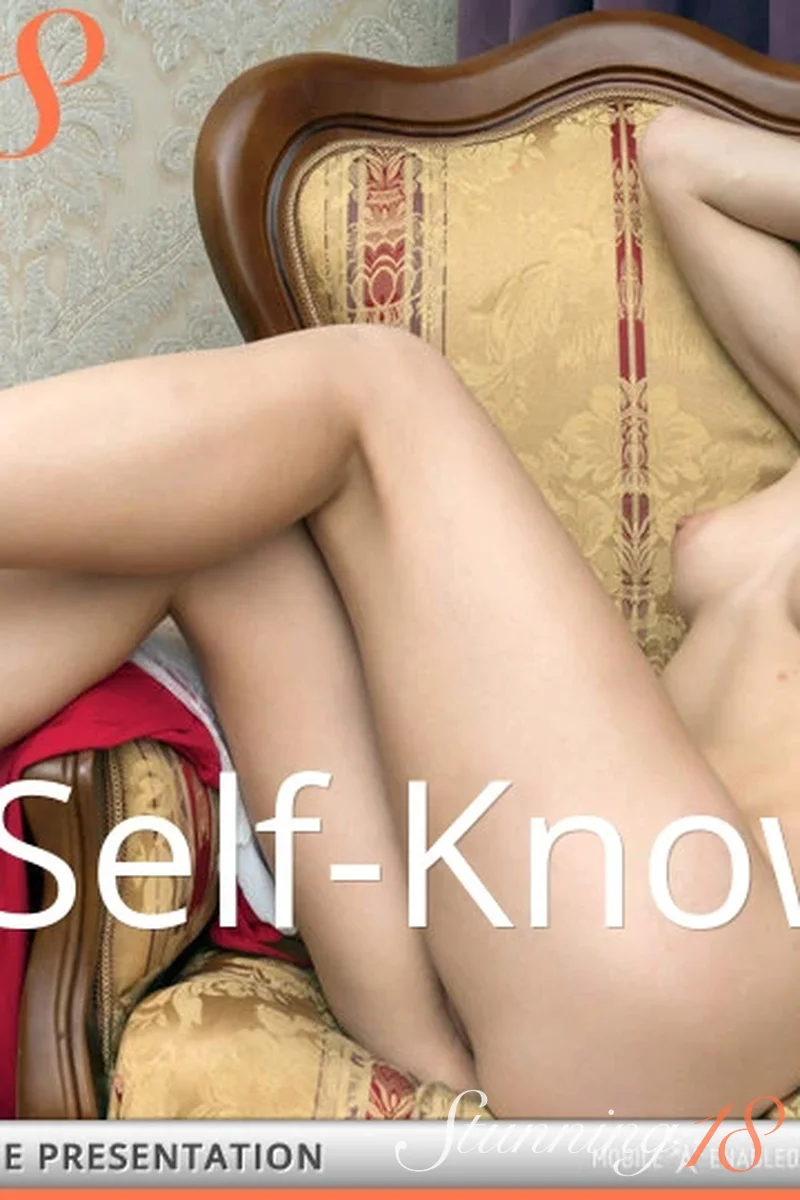 Self-Knowledge - Screenshot 1 of 4 - Brown Hair