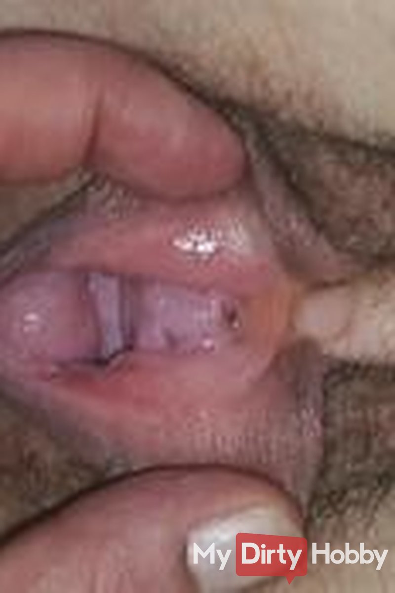 Present Pussy - Screenshot 1 of 4 - Paar Pervers35