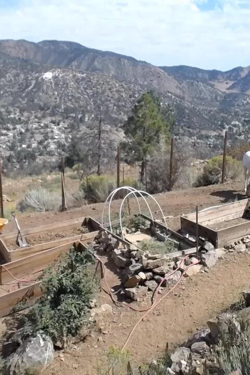 Yardwork With Greyhound - Screenshot 1 of 4 - Bondage