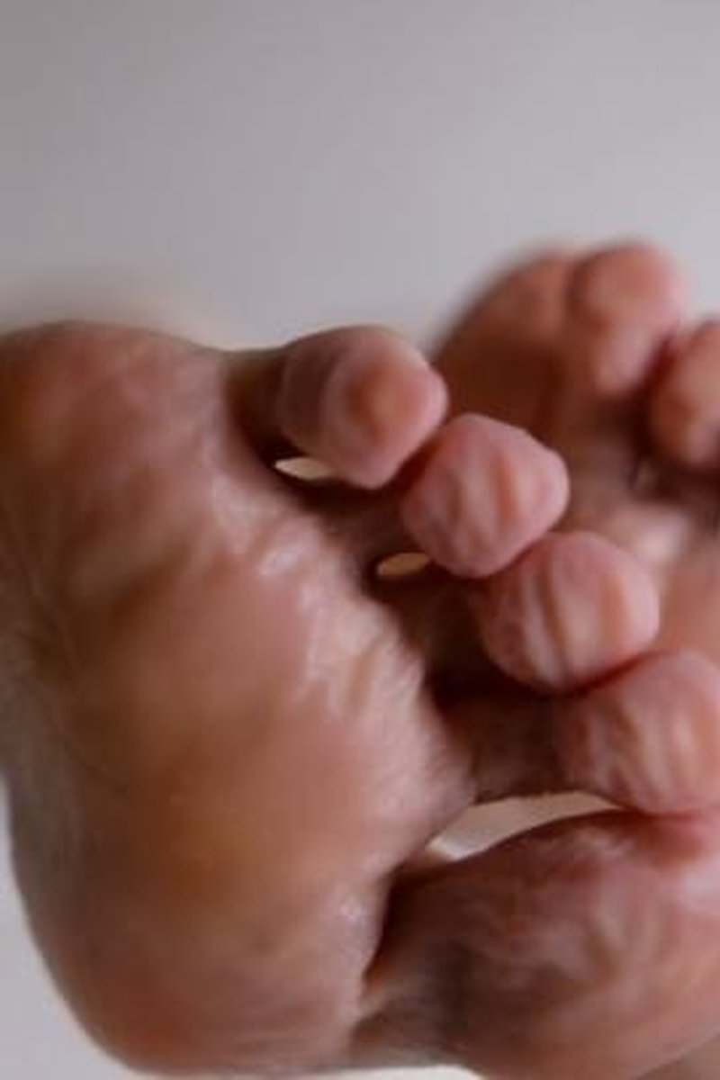 Feet & Bath - Screenshot 1 of 4 - Hello Alice