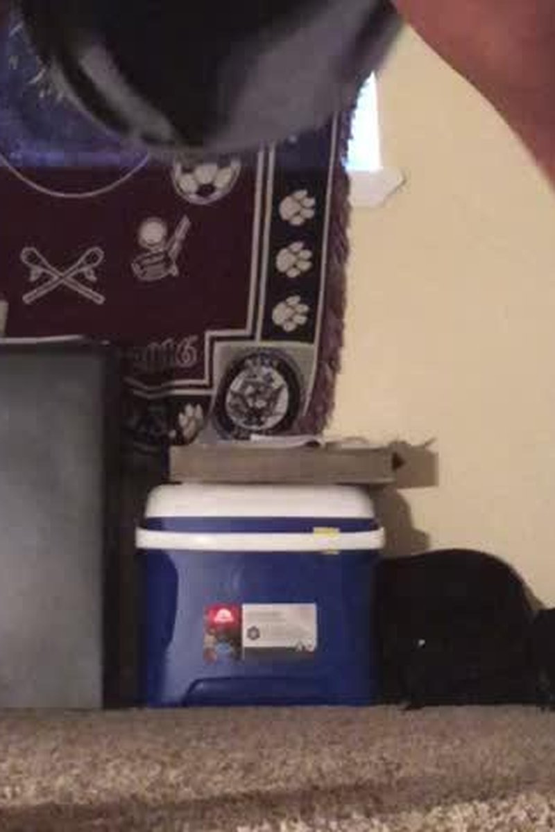 Twerking - Screenshot 1 of 4 - Ass Worship