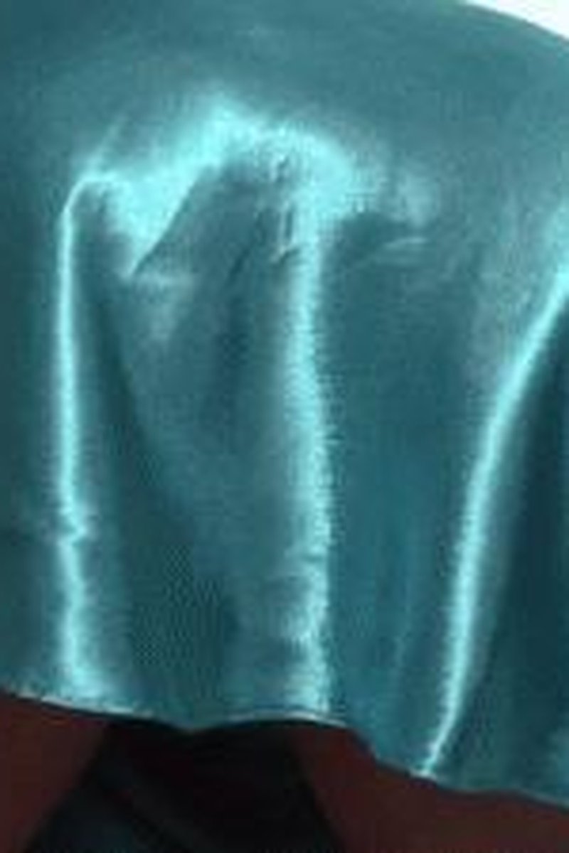 Satin Farts - Screenshot 1 of 4 - Farting