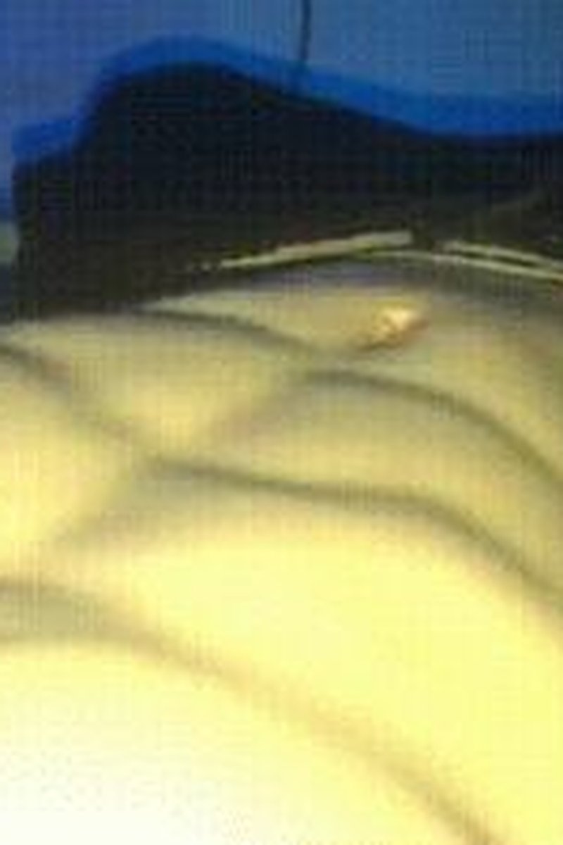 Abs - Screenshot 1 of 4 - Abs Fetish