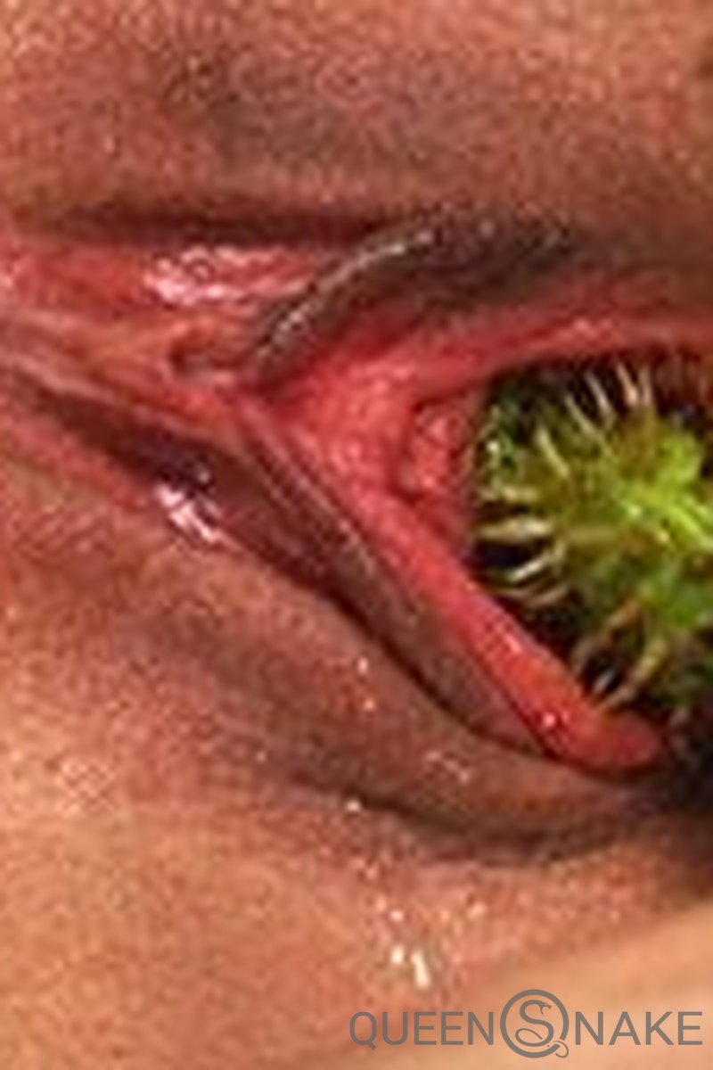 Pret-a-Porter - Screenshot 1 of 4 - Conkers