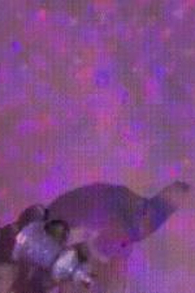 Closer - Screenshot 1 of 4 - BBW
