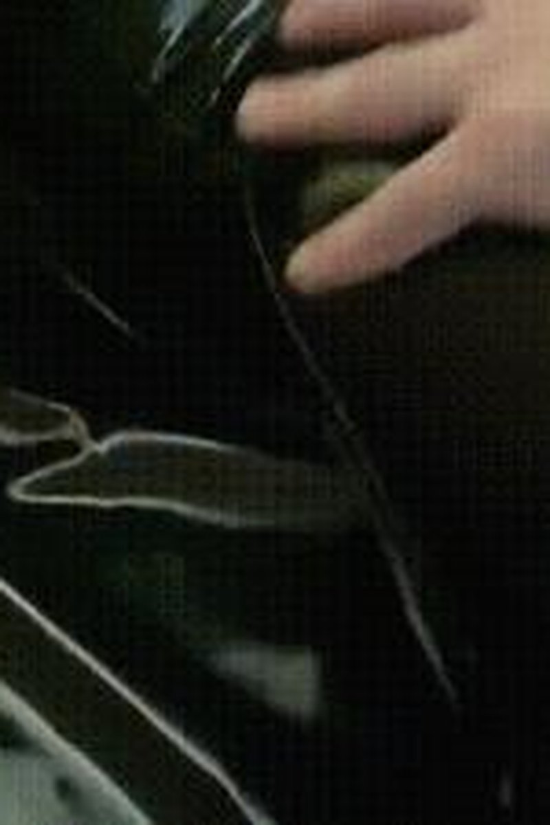 Ass Obsession - Screenshot 1 of 4 - Ass Smothering