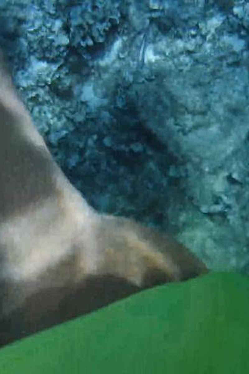 Underwater Pee Cloud 7 - Screenshot 1 of 4 - Golden Shower