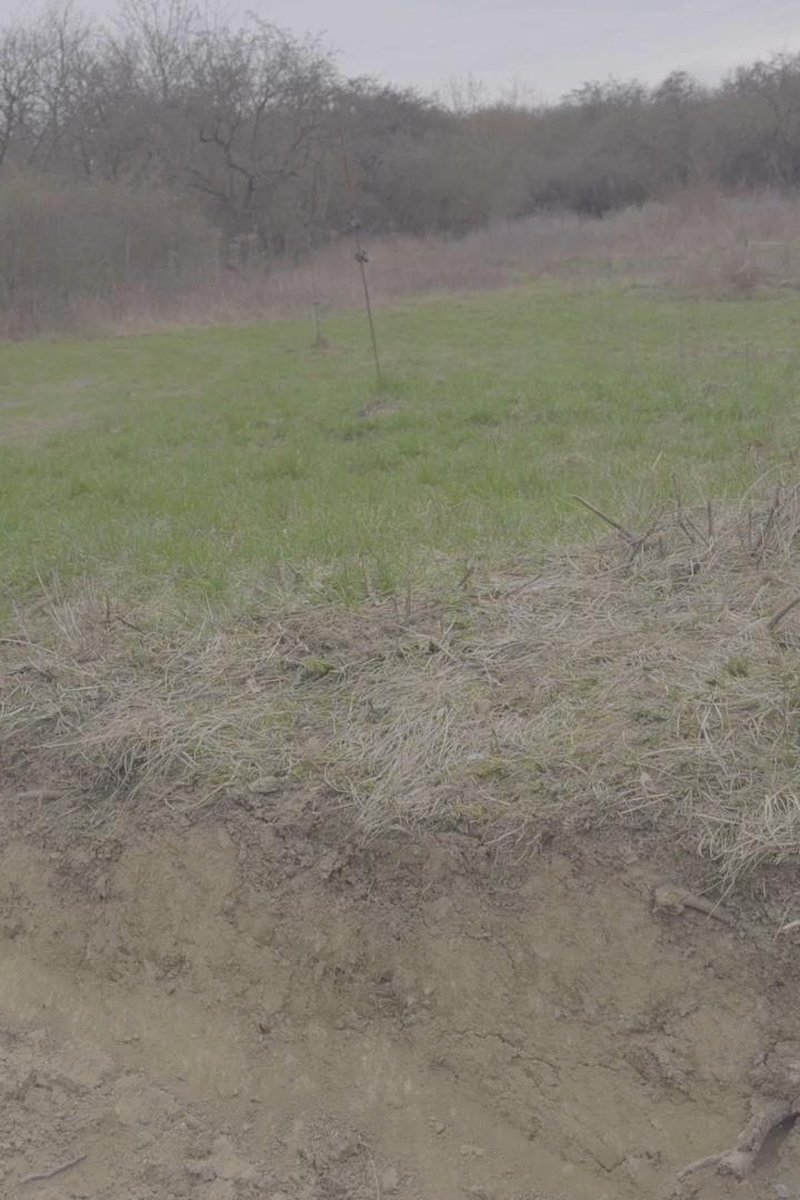 Outdoor Peeing - Screenshot 1 of 4 - Alternative Girl