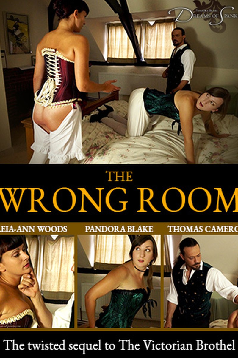 The Wrong Room - Screenshot 1 of 4 - BDSM