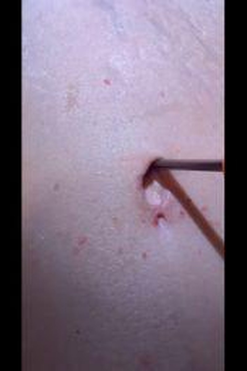 Close Up Bellybutton Probe - Screenshot 1 of 4 - Belly Fetish