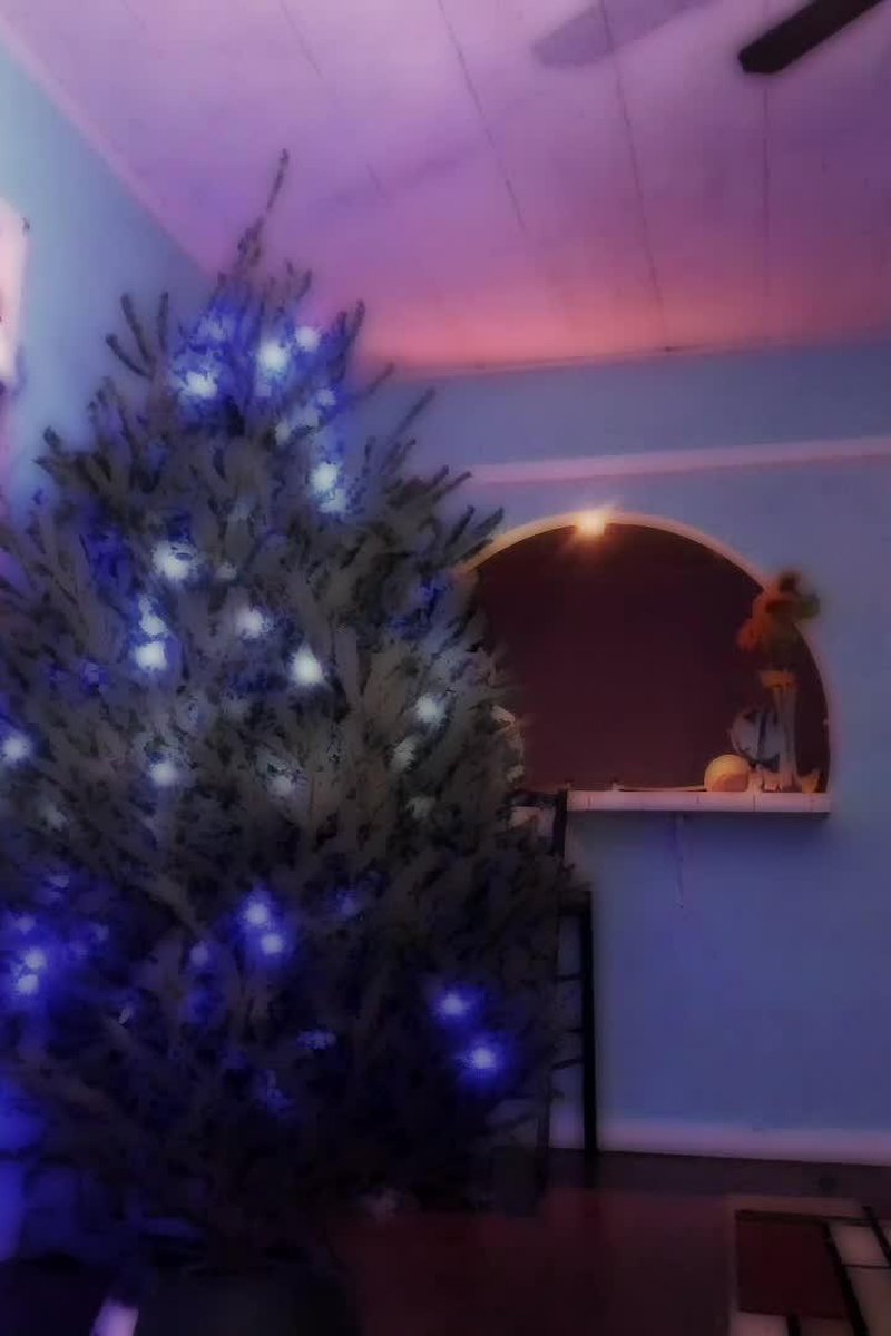 Xmas2017 - Screenshot 1 of 4 - Holidays