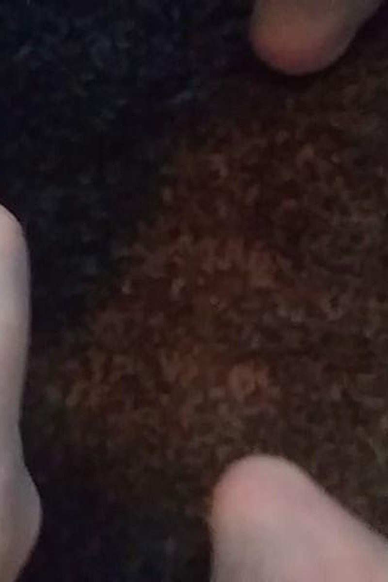In Your Face - Screenshot 1 of 4 - Cumshot