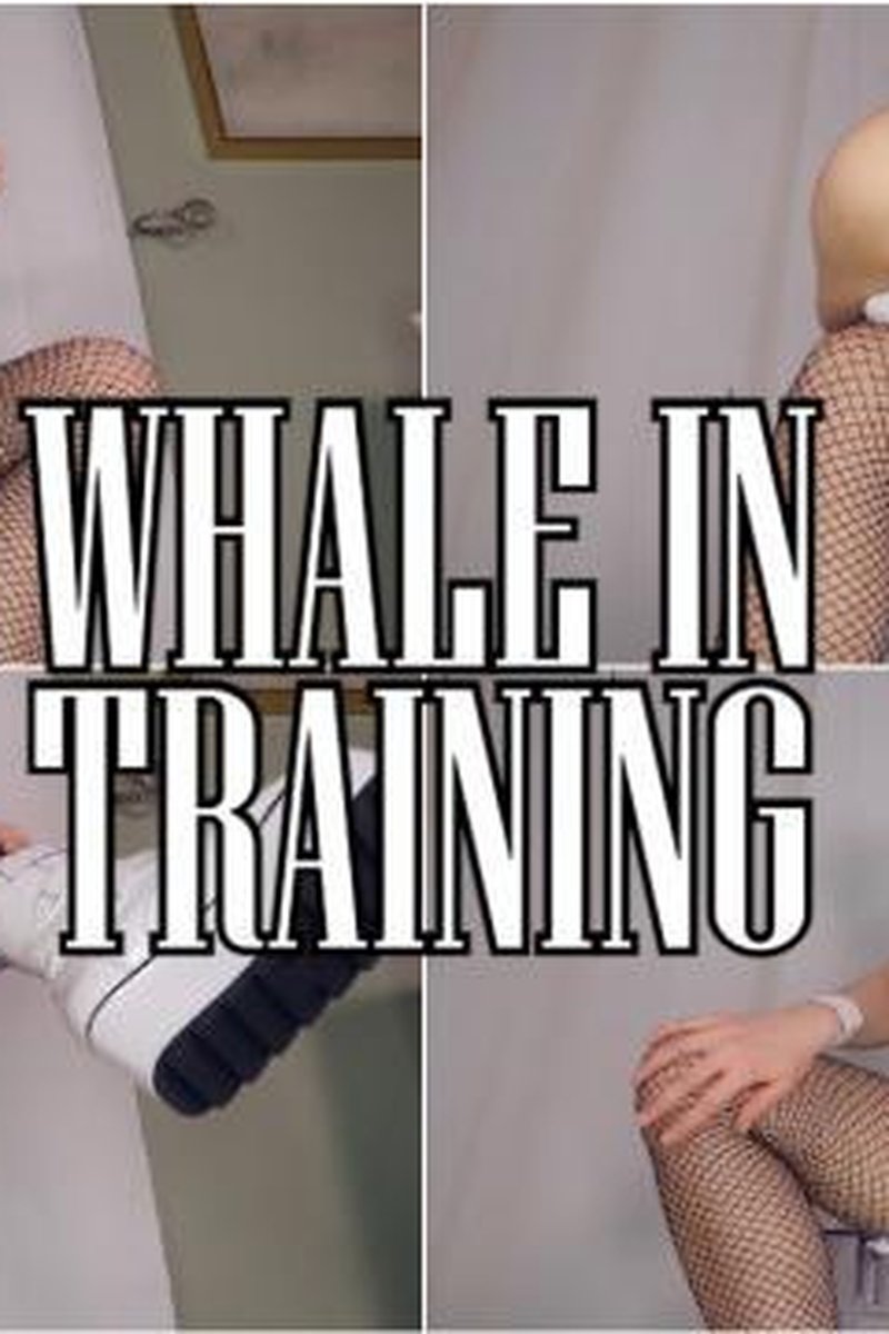 Whale In Training - Screenshot 1 of 4 - Babes