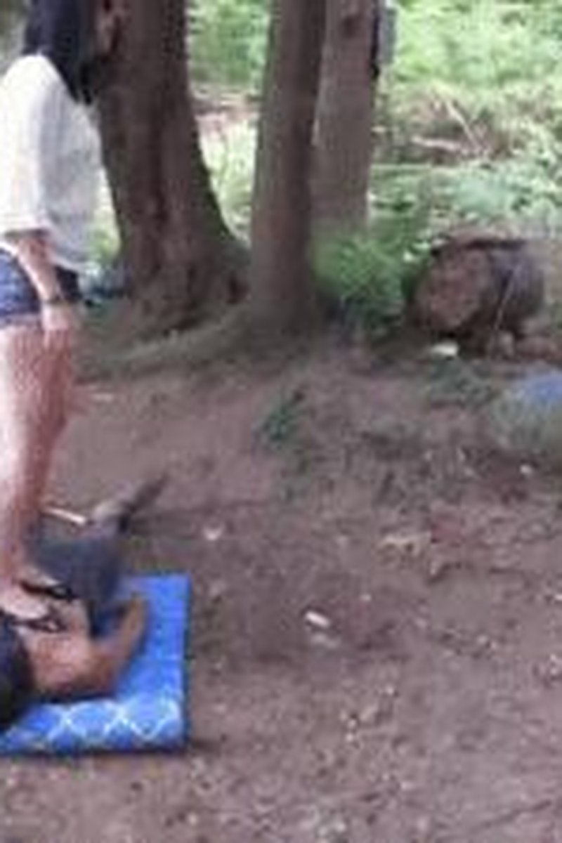 Trampling In The Forest - Screenshot 1 of 4 - Ballerina