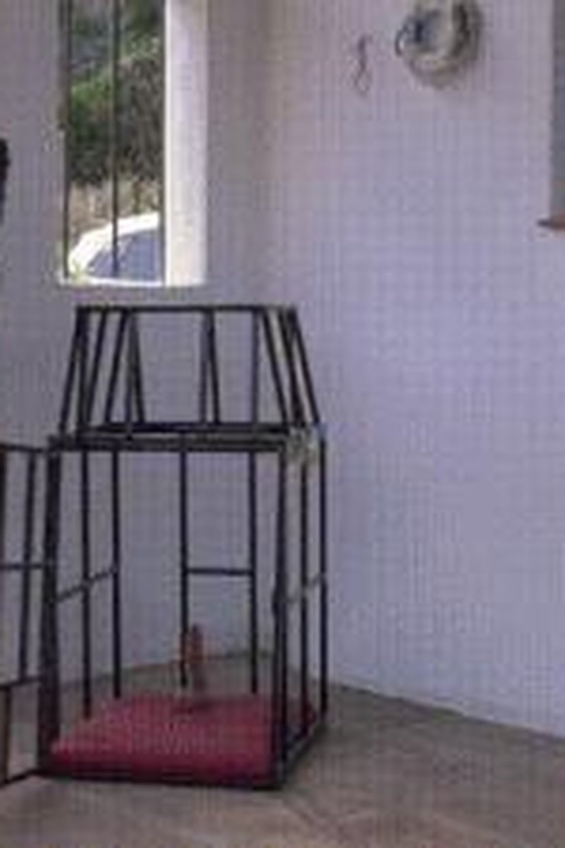 Cage Service - Screenshot 1 of 4 - Ass Fetish
