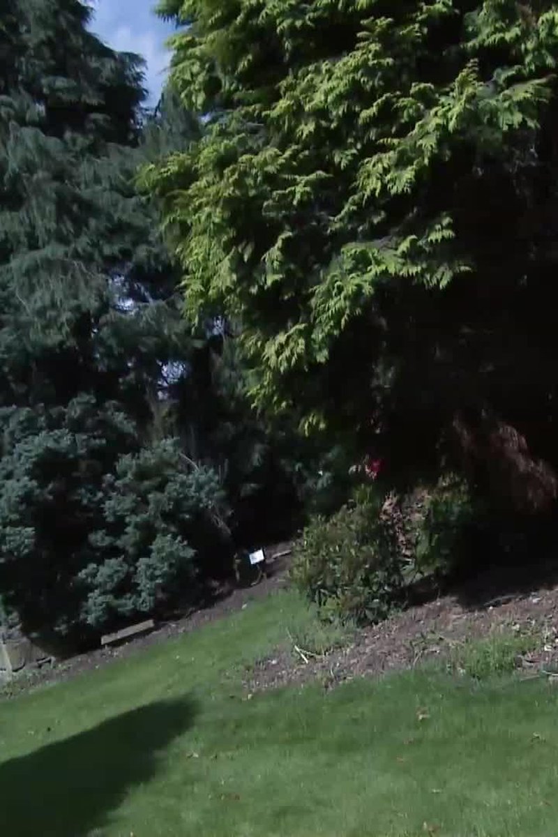 Outdoor Splashing - Screenshot 1 of 4 - Fingering
