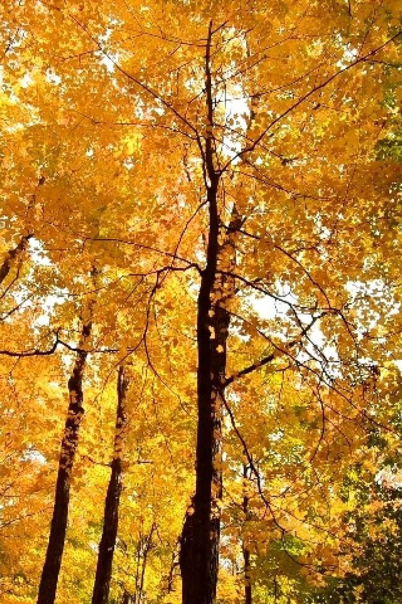 Test1 - Screenshot 1 of 4 - Outdoors