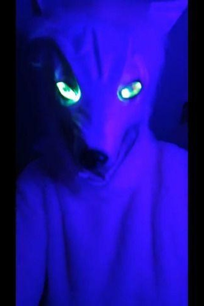 POV- Werewolf Choses You As Her Prey - Screenshot 1 of 4 - Costume
