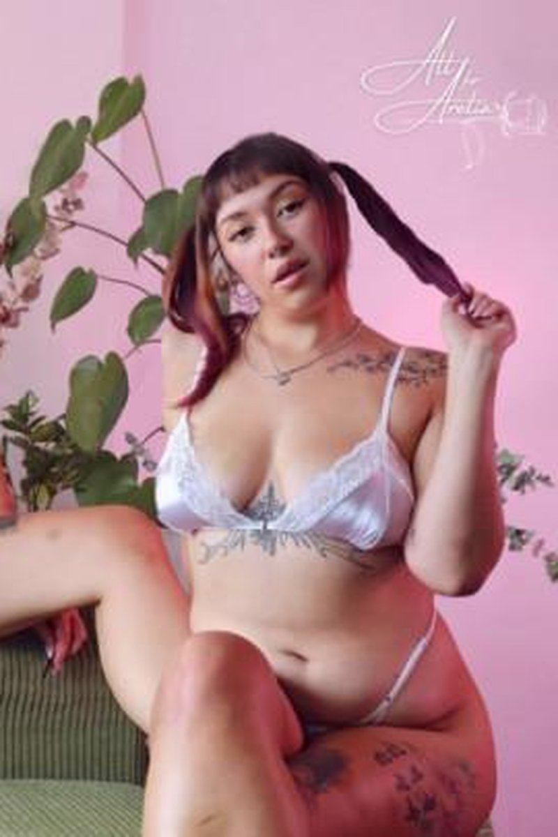 Premie Taxes - Screenshot 1 of 4 - Asian