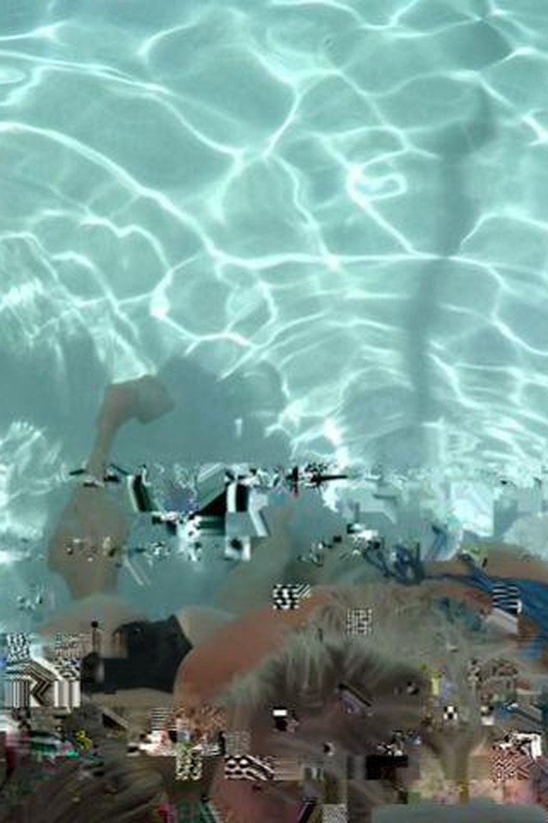 Wild Pool Party - Screenshot 1 of 4 - BBC