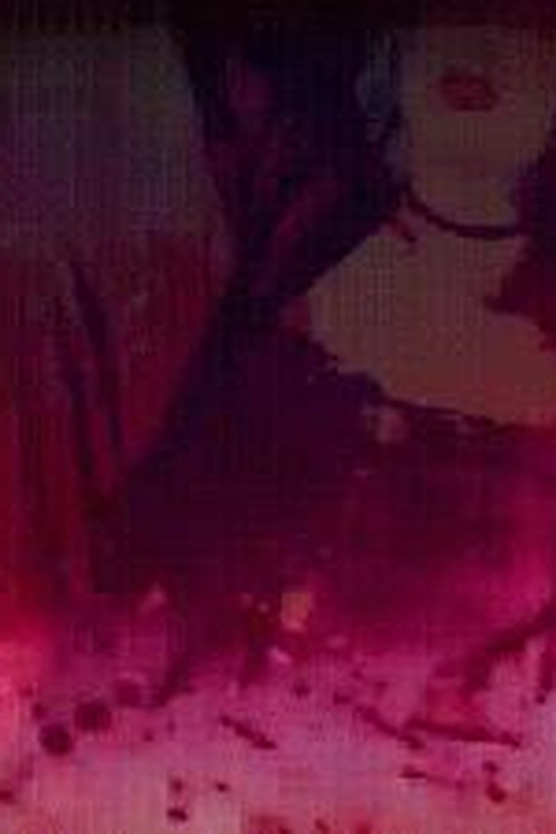 Fangs - Screenshot 1 of 4 - Fantasy