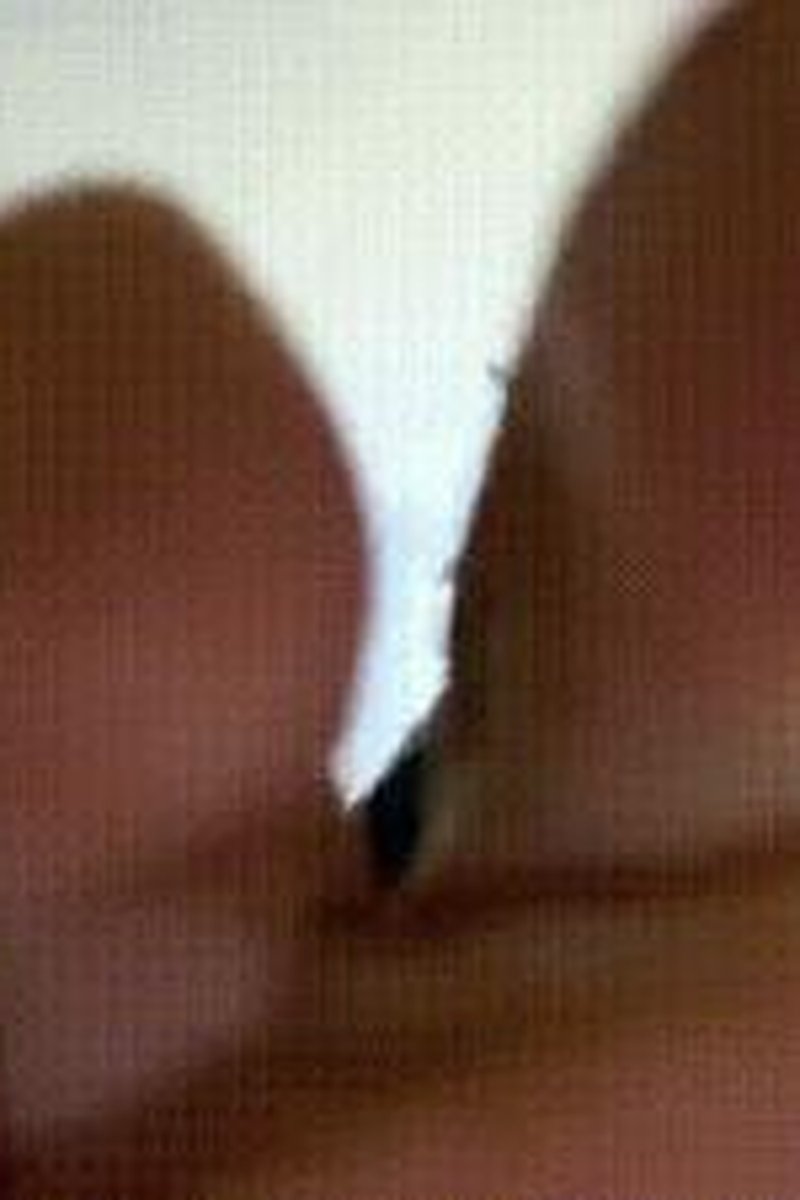 Stupid Tiny Bitch - Screenshot 1 of 4 - Femdom